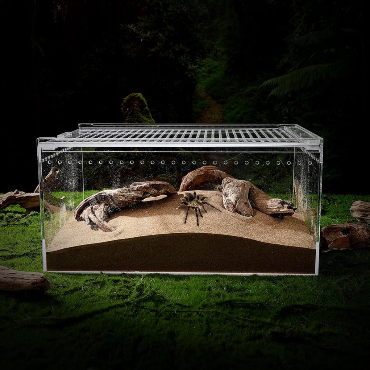 Recinto Acrílico para Alimentación y Cría de Reptiles, Ventilación