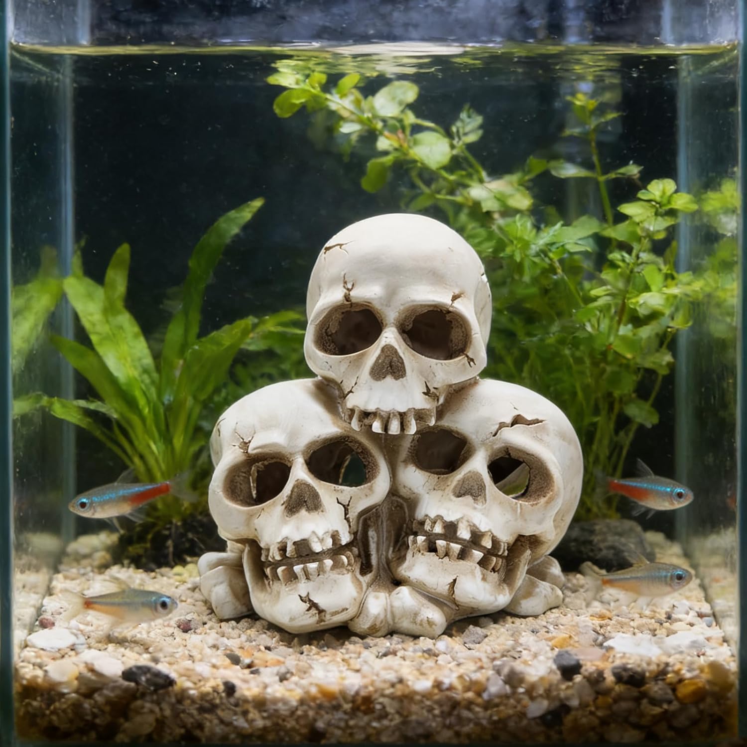 Cool Aquarium Decor Skeleton Fish Tank Skull Aquarium Ornament Cave Landscape Pet Reptile House Play Habitat