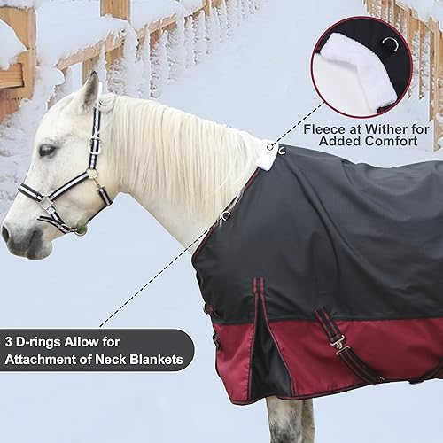 1200D Ripstop Waterproof Breathable Horse Blanket, Medium Weight 200g Fill, Standard Neck, Large Tail Flap, Windproof Warm Winter Turnout Blanket for Horses Greenblack 69"(Black/Wine,69")
