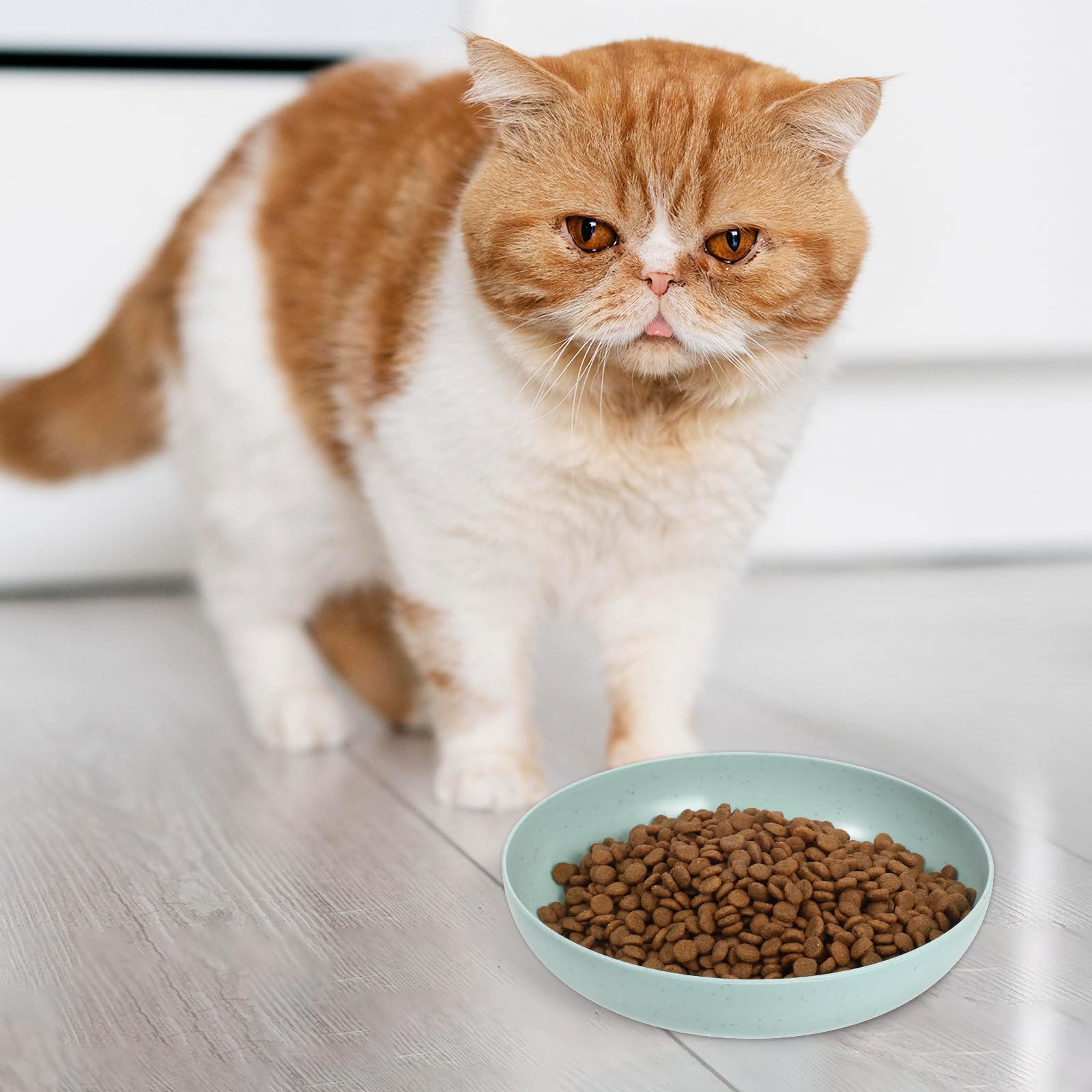 40 piatti per gatti adatti ai baffi poco profondi e larghi per alimenti per animali domestici ciotola per acqua da 15,2 cm baffi per stanchezza ciotole per gatti piatto per cibo per gatti durevole
