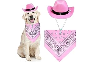 Cowboy Dog Costume for Pink Ladies