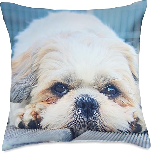 Shih-Tzu - Almohada decorativa para mujer, diseño de cachorros de Shih tzu