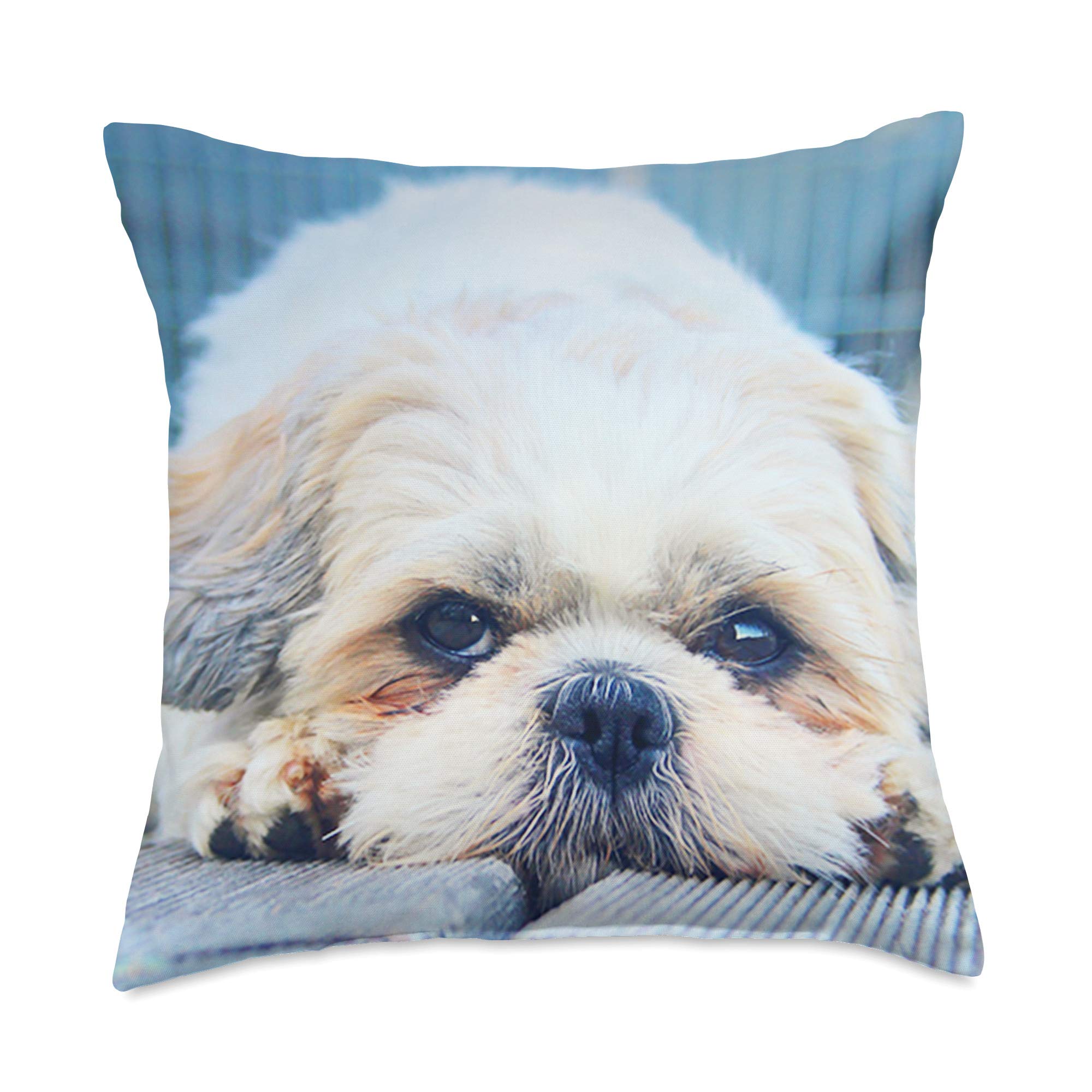 most expensive stuffed animal in the world