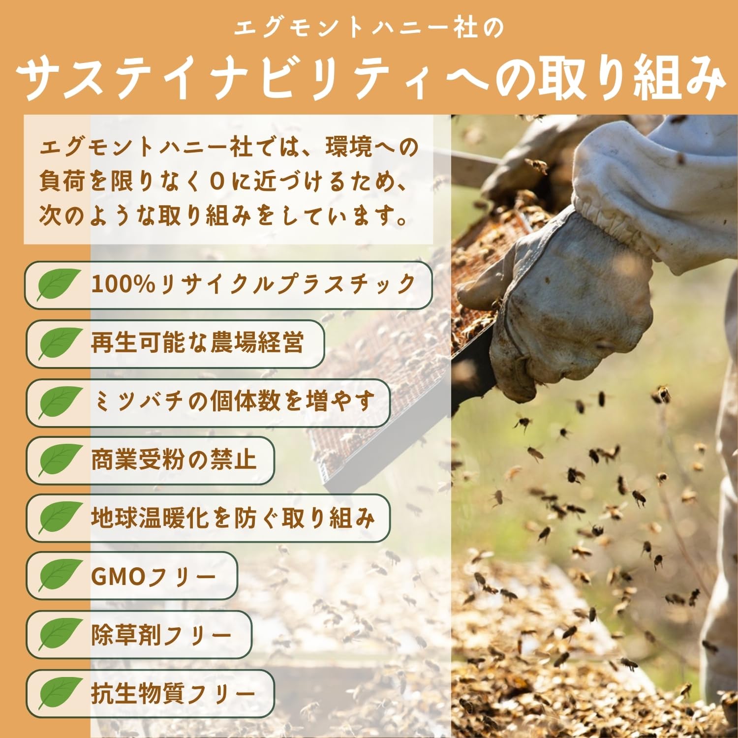 Amazon.co.jp: エグモントハニー: マヌカスティック