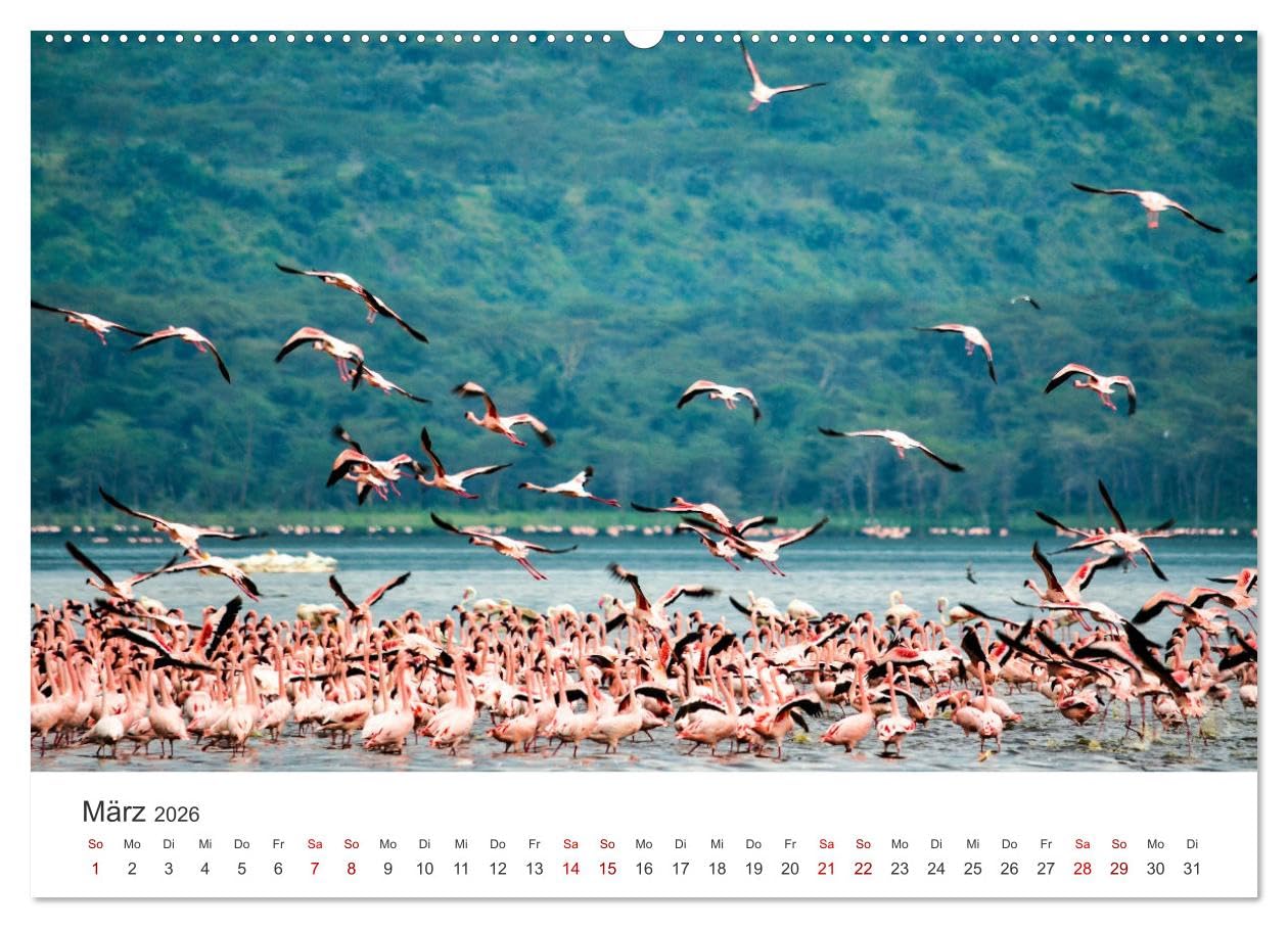 Kenia - Eine Safari durch unberührte Natur. (Wandkalender 2026 DIN A2 quer), CALVENDO Monatskalender: 12 hevorragende Aufnahmen aus Kenia. (CALVENDO Orte)