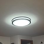 Review Image by Lady Trent Lady Trent