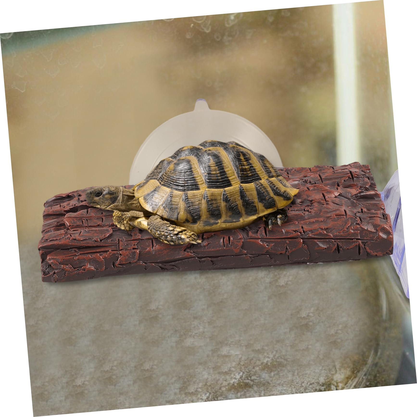 BESPORTBLE 5piezas Plataforma De Descanso para Tortugas y Reptiles con Ventosa y Diseño De Terraza Flotante para Acuarios y Terrarios Resistente y Duradera