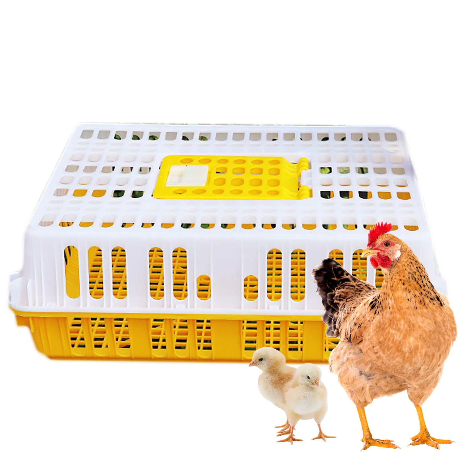 Jaula para Aves de Corral Jaula de Plástico para Transporte de Pollos Transportador de Aves Caja Tipo Cesta para Pollos Aves de Corral Patos(Yellow)