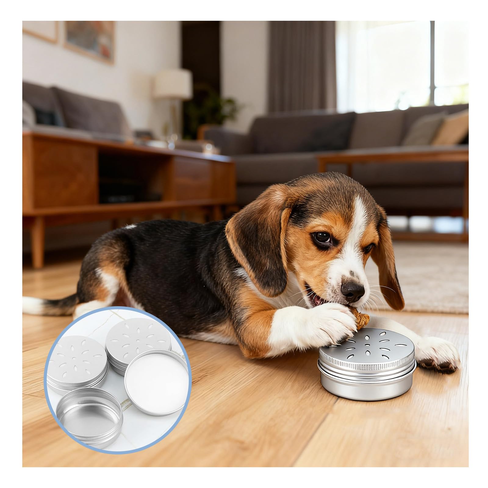 Lot de 10 récipients anti-odeurs de 60 ml pour chiens à renifler, réutilisables, en aluminium, pour le travail du nez, durables et simples