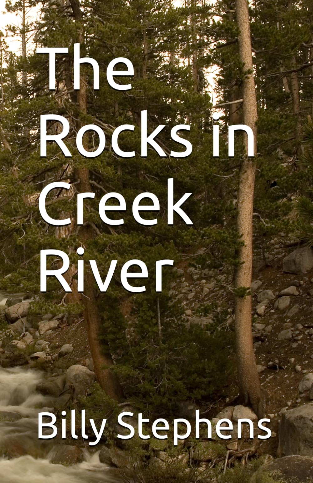 The Rocks in Creek River