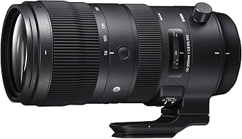 Amazon.com : Sigma 70-200mm f/2.8 DG OS HSM Sport Lens for Nikon F