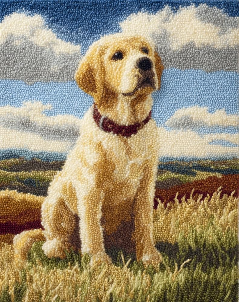 FWRTYCB Latch Hook Rug Kits, DIY Latch Hook Rug,Labrador On The Grass Home Carpet Rug Making Canvas Kits,20X15Inch DIY Crochet Kits Embroidery Kits Needlework Crafts for Home Decor, Latch Hook Kits