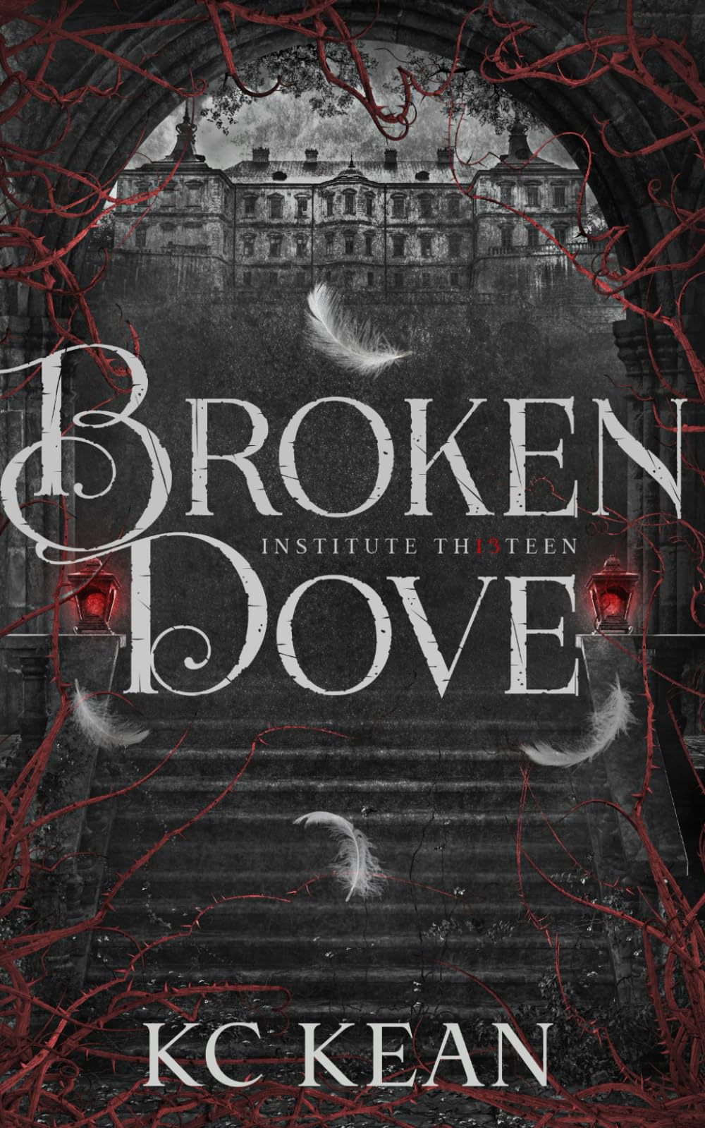 Broken Dove: A Dark Fantasy Academy Romance (Institute Thirteen)