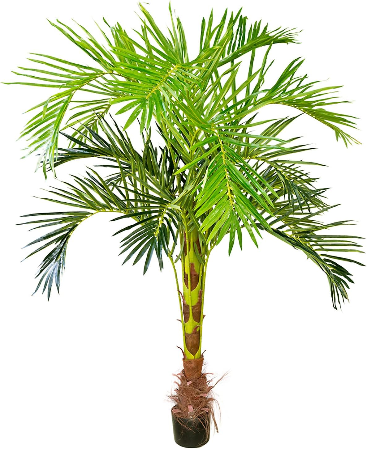 Kunstliche Palme Wie Echt