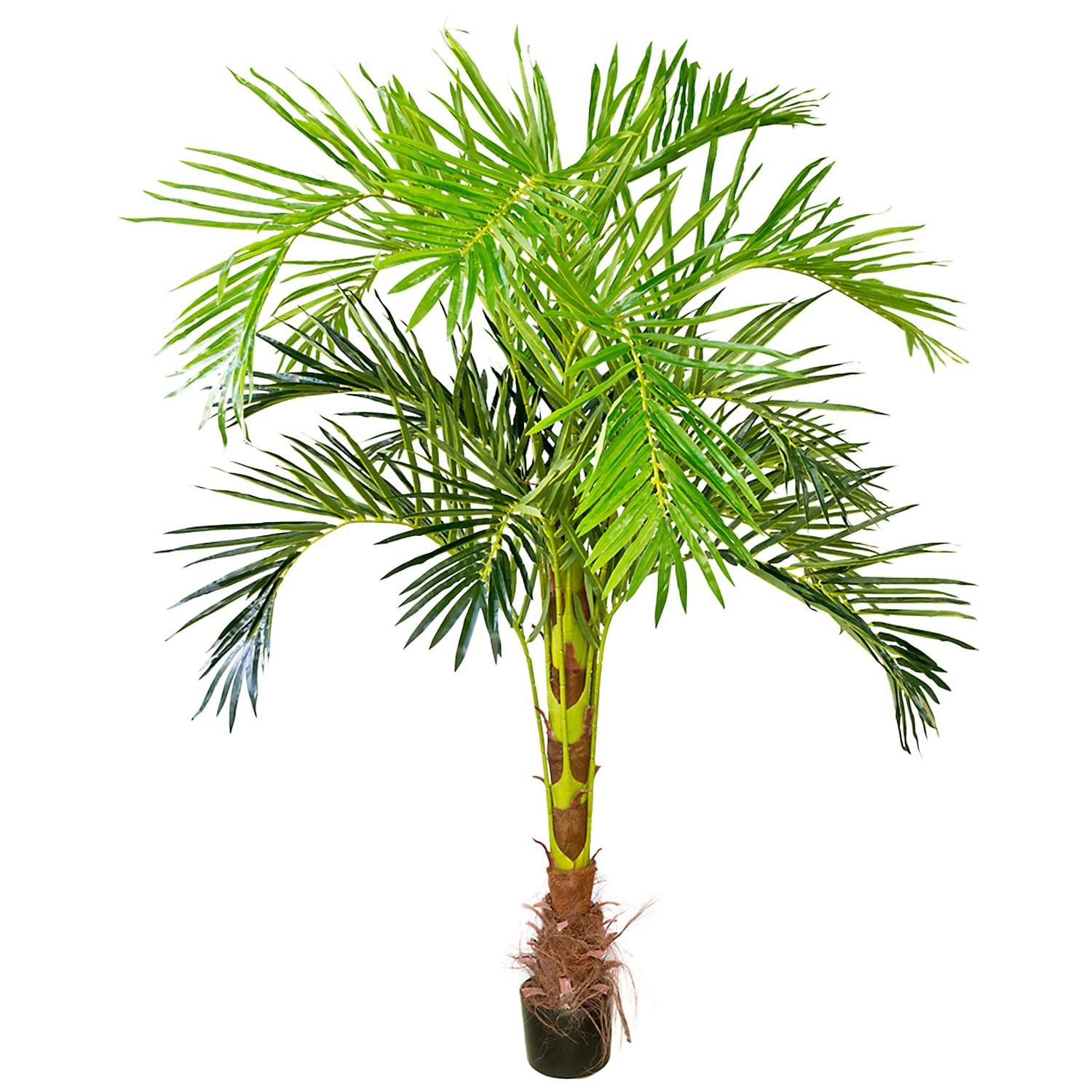 Decovego Palmizio Palma Artificiale Albero Pianta Artificiale Selezione, Selezione pianta di Palma:Palma Modello 3 (180 cm)