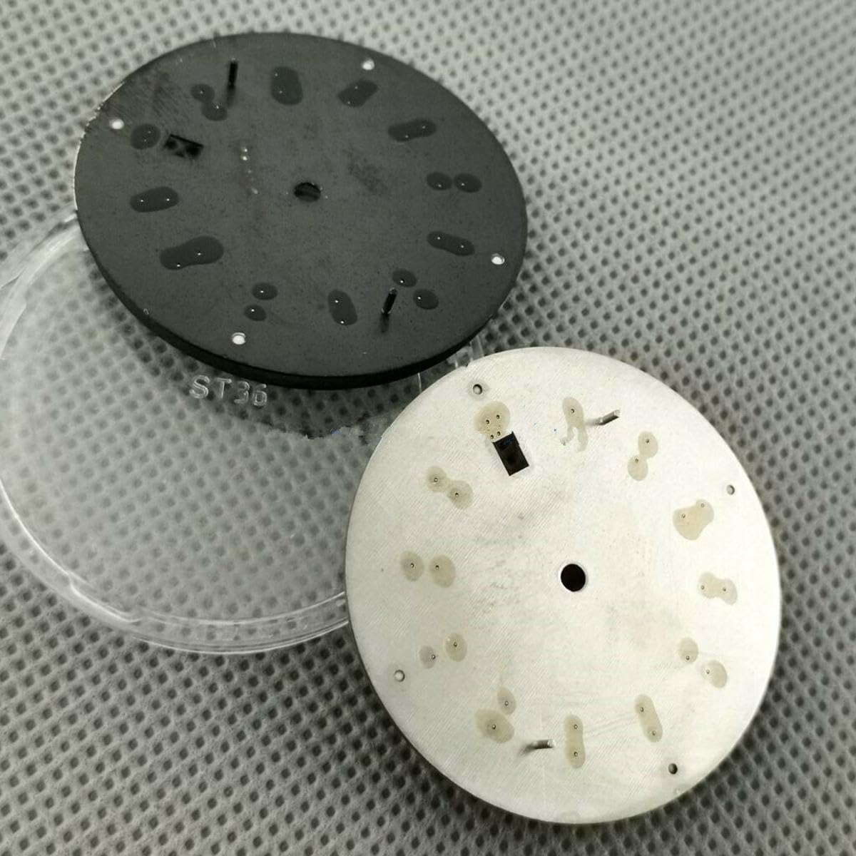 Green Luminous Watch Dial Replacement Parts for Seiko (NH35 NH35A) Blue US