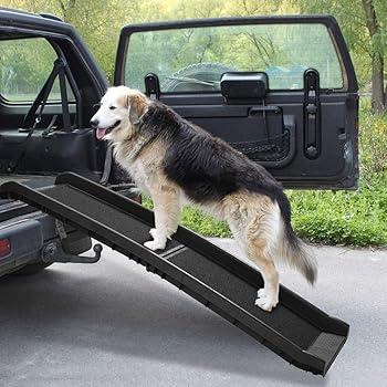 sliding dog ramp