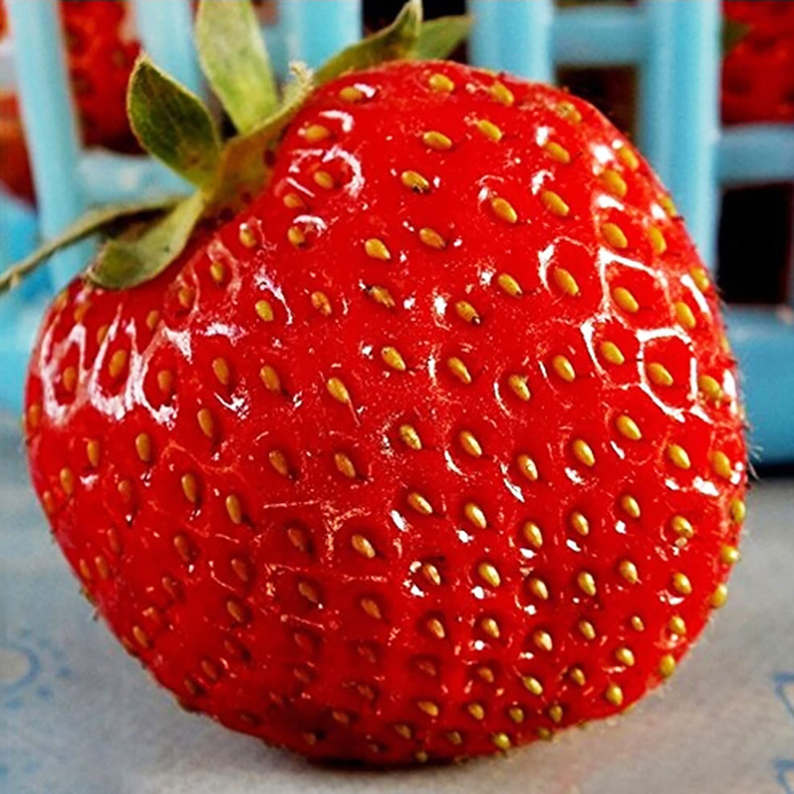 Semi Di Fragola Haloppe - 100 Semi Per Coltivazione Casa, Giardino O Balcone - Foto 6