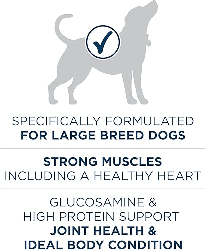 Vista 3 de Purina ONE Plus - Fórmula seca de alimento para perros adultos de raza grande, rico en proteínas, sabor natural de pollo – bolsa de 40 libras