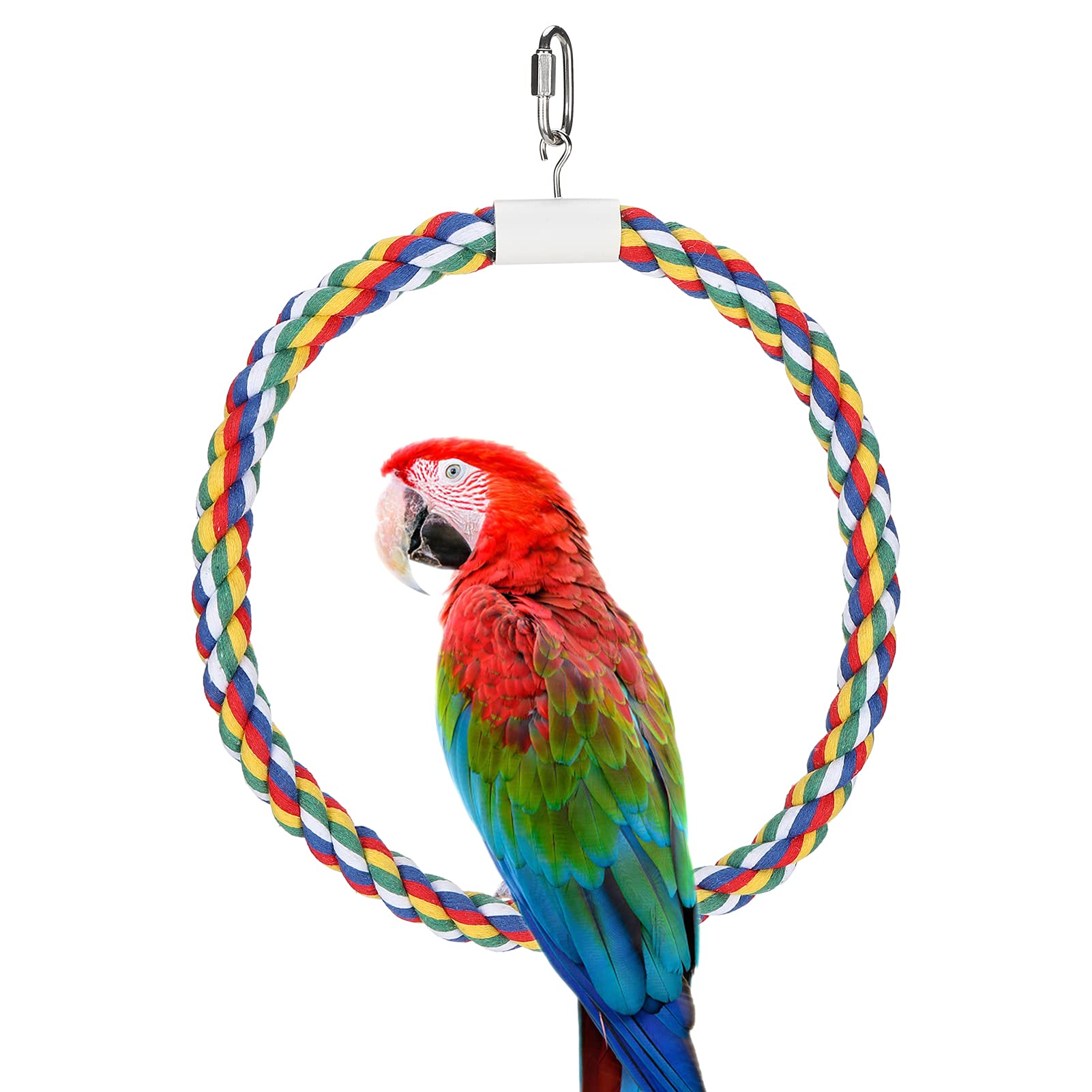Perche D'oiseau, Anneau de Balançoire de Corde de Coton pour Animaux de Compagnie Perroquet Jouet Perroquet Jouet Corde de Coton Balançoire Anneau Debout pour Petit et Moyen Perroquet