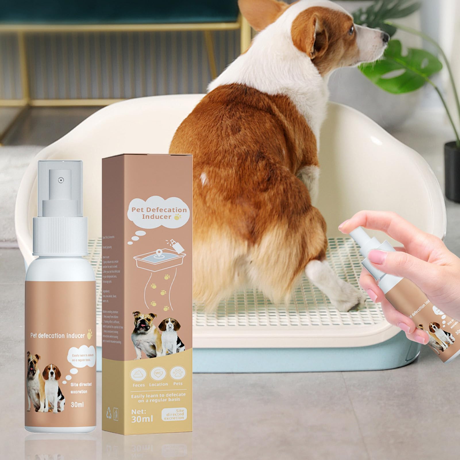 Spray d'apprentissage de la propreté pour chien, parfum naturel, 1 pièce, spray d'apprentissage de la propreté, attractif pour pipi pour animaux domestiques, application facile ciblée, pour tapis ou