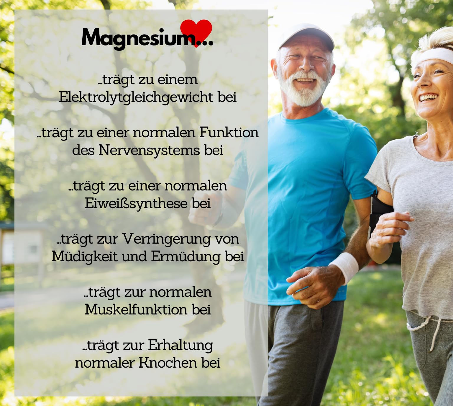 Magnesiumbisglycinat, 365 vegane Kapseln – 300 mg elementares Magnesium pro Tagesdosis, Magnesiumglycinat, hochdosiert & ohne Zusatzstoffe (Packung mit 2)