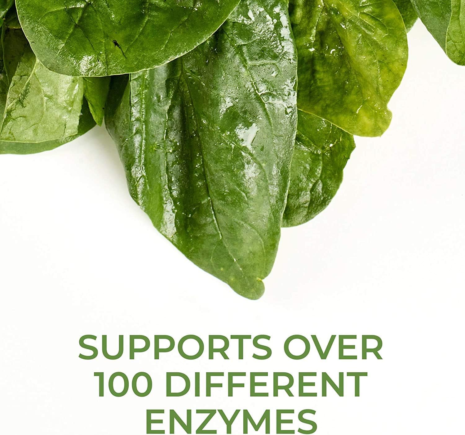 MegaFood, Zinc, Immune Health Support, Mineral and Dietary Supplement Vegan, 120 Tablets (120 Servings) : Health & Household