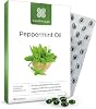 Healthspan High Strength Peppermint Oil 100mg (180 Capsules) | Helps to Support a Healthy Digestion | One-A-Day & Easy to Swallow Capsule | Vegan