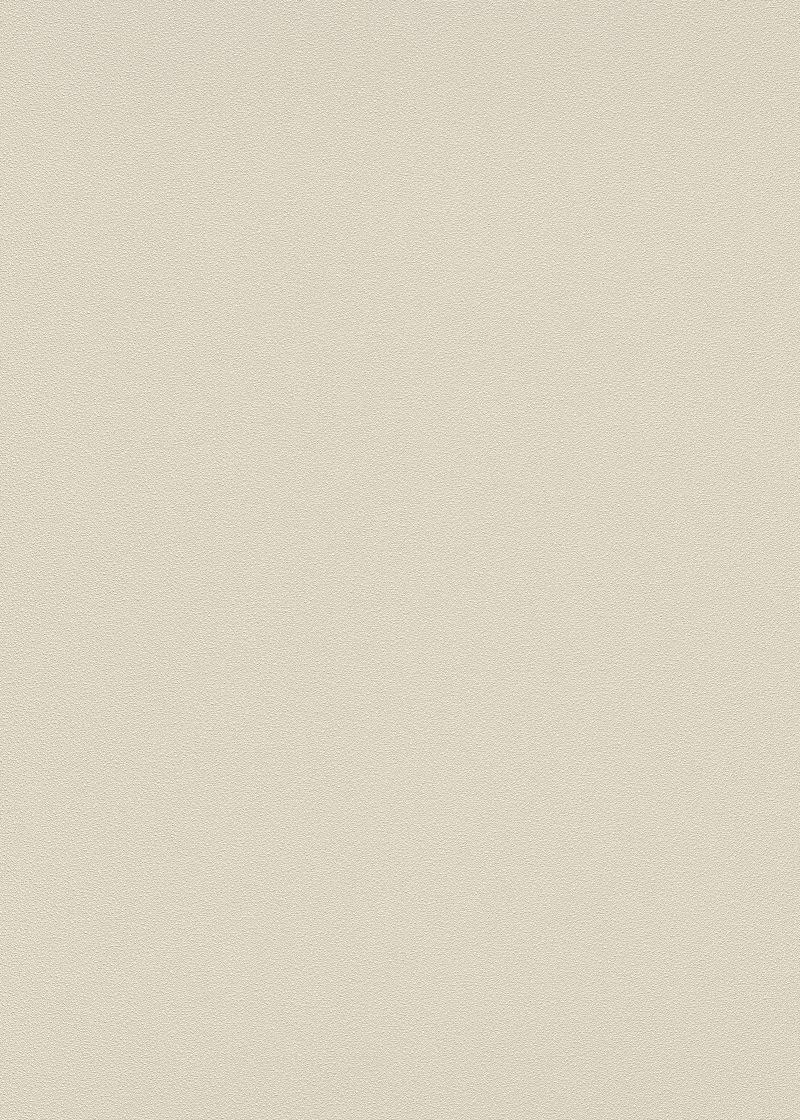 Papier peint uni sable beige Sanders pour rénover et éclaircir un mur