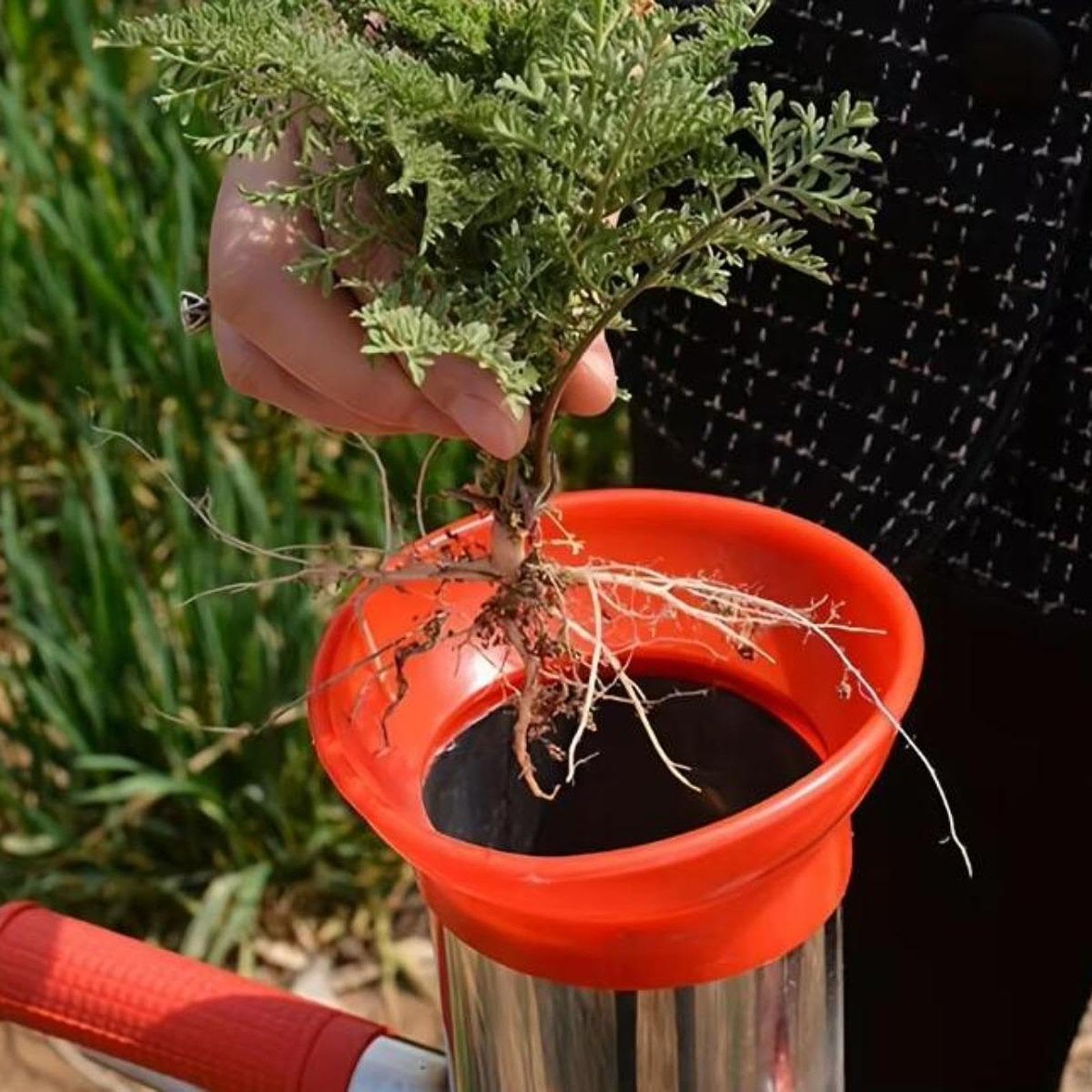 Zwiebelpflanzer Gartenwerkzeug Pflanzwerkzeug Setzlingstransplanter Unkrautstecher mit Ergonomischem Griff Aus Edelstahl für Gemüseanbau Balkon Gärten, Doppelgriff