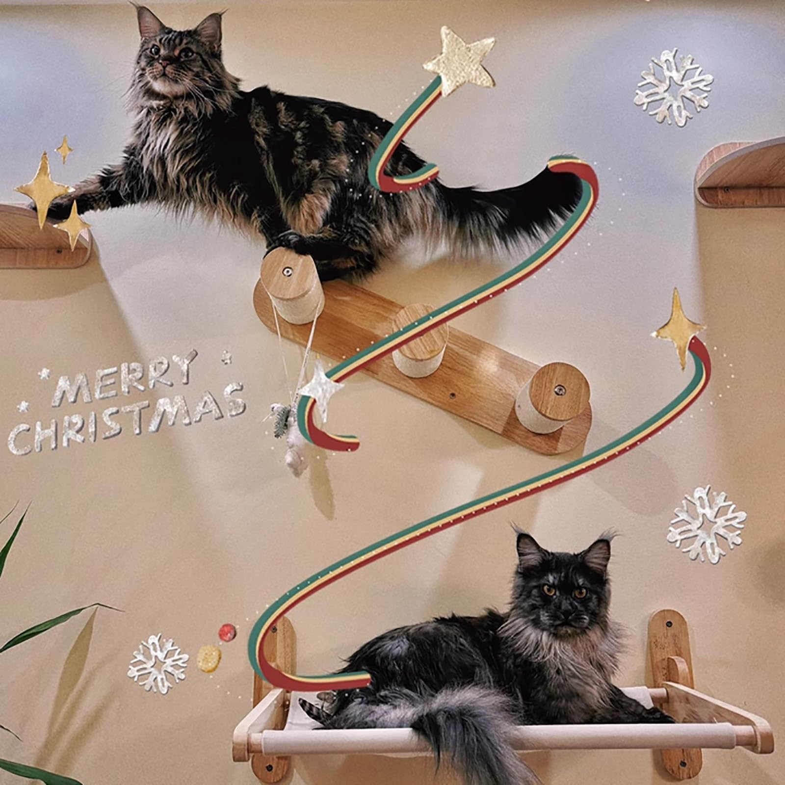 Albero Gatto | Mensola da Arrampicata a Parete per Gatti, Mobile da Parete in Legno di caucciù con capacità di Carico di 20 kg | Design Modulare per Risparmiare Spazio(60 * 16 * 13)