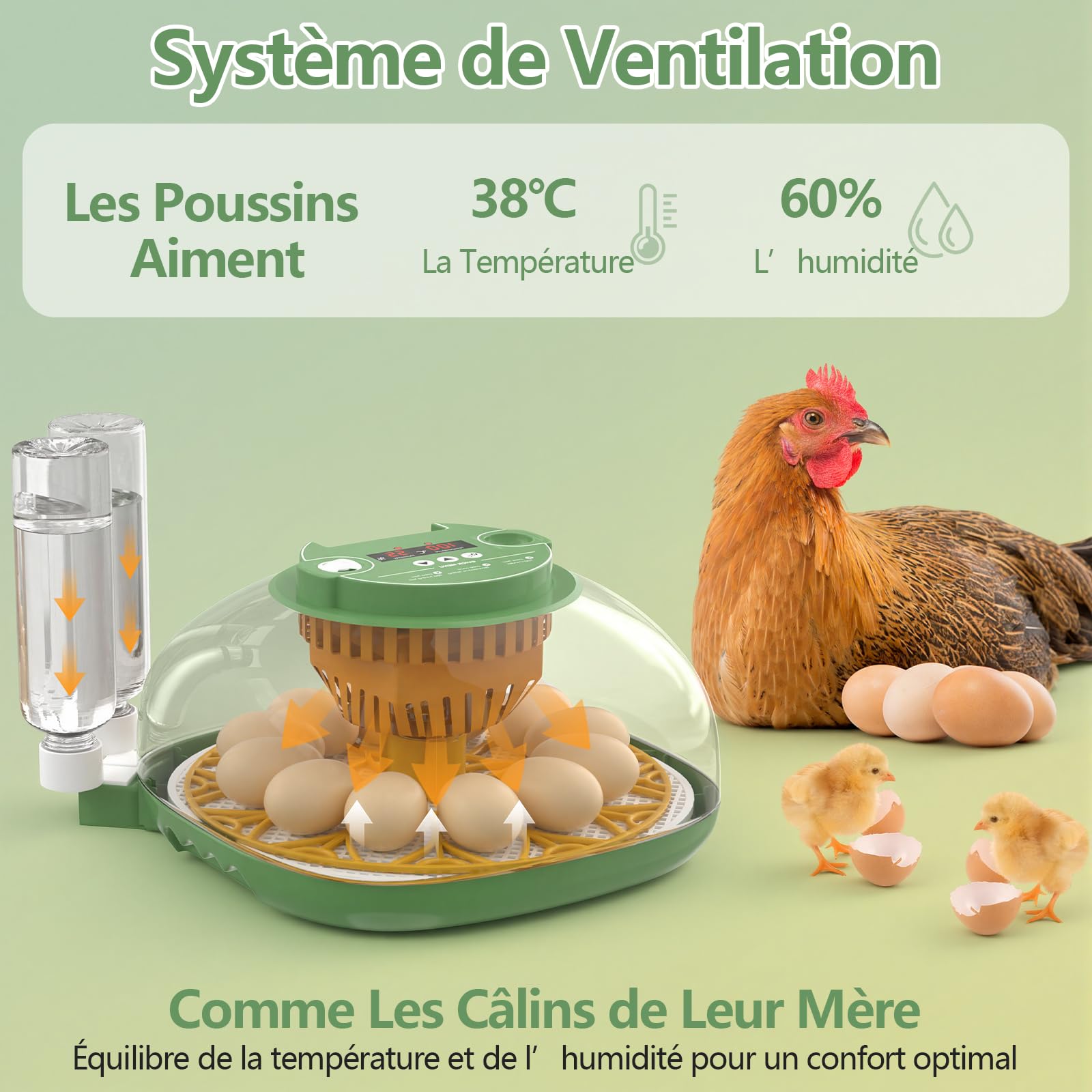 Couveuse Oeuf Automatique, Diealles Shine Incubateur Oeuf 12 Oeufs avec Retournement Automatique des Oeufs et Humidification Automatique, Couveuses pour Oeuf de Volailles avec Contrôle de Température