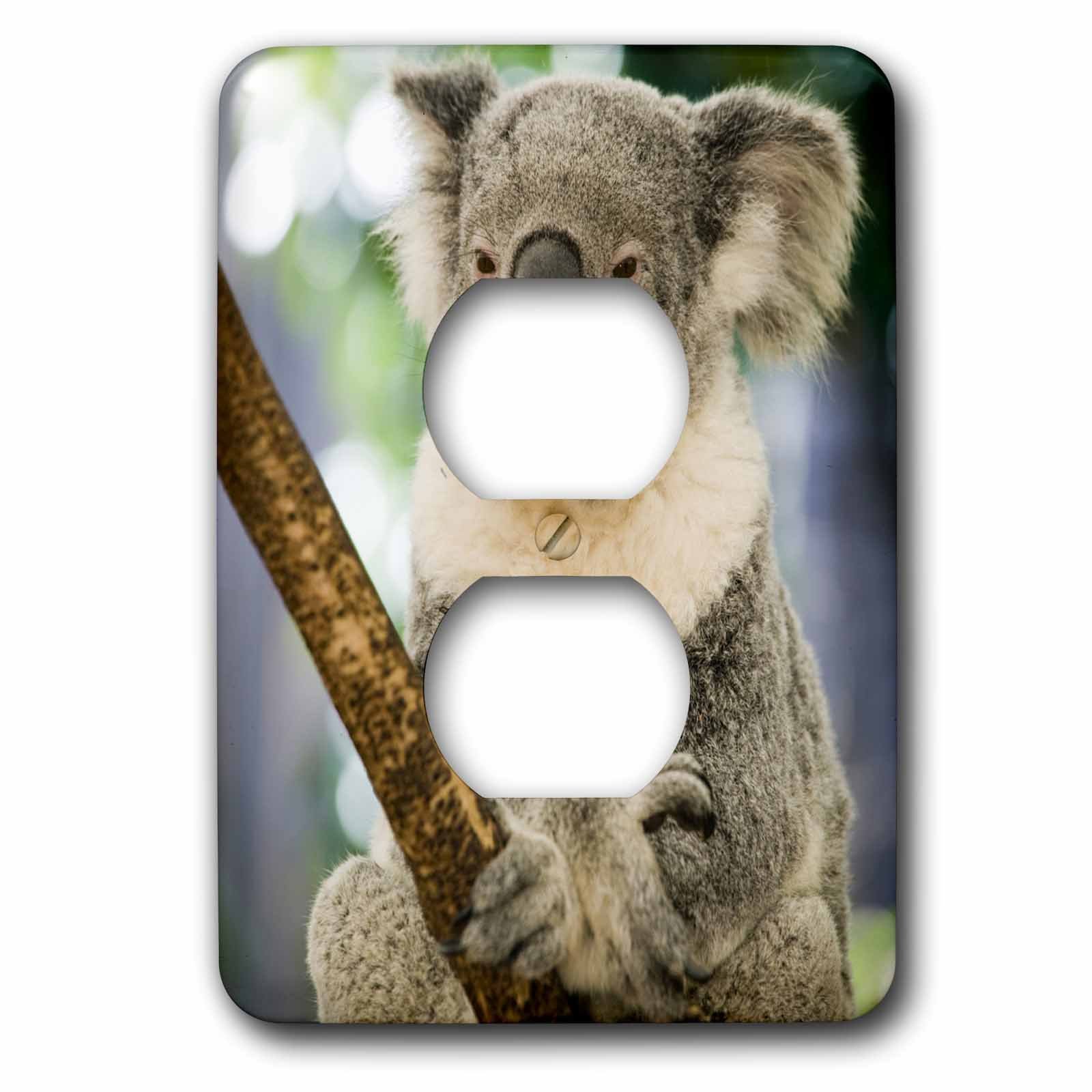 Figuier Koala Australie 3dRose - Double prise de courant imprimée lsp_70226_6