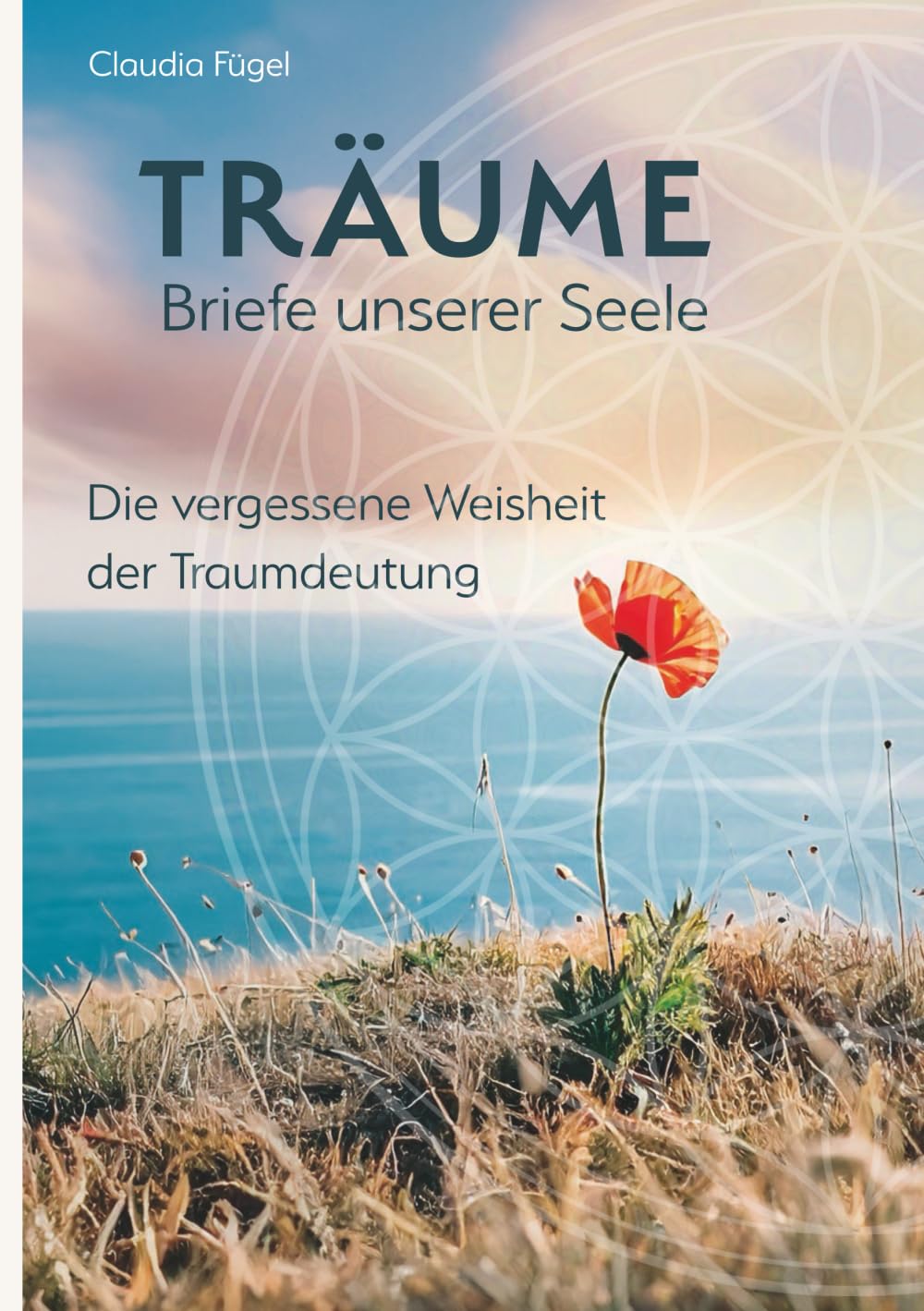 Träume - Briefe unserer Seele: Die vergessene Weisheit der Traumdeutung