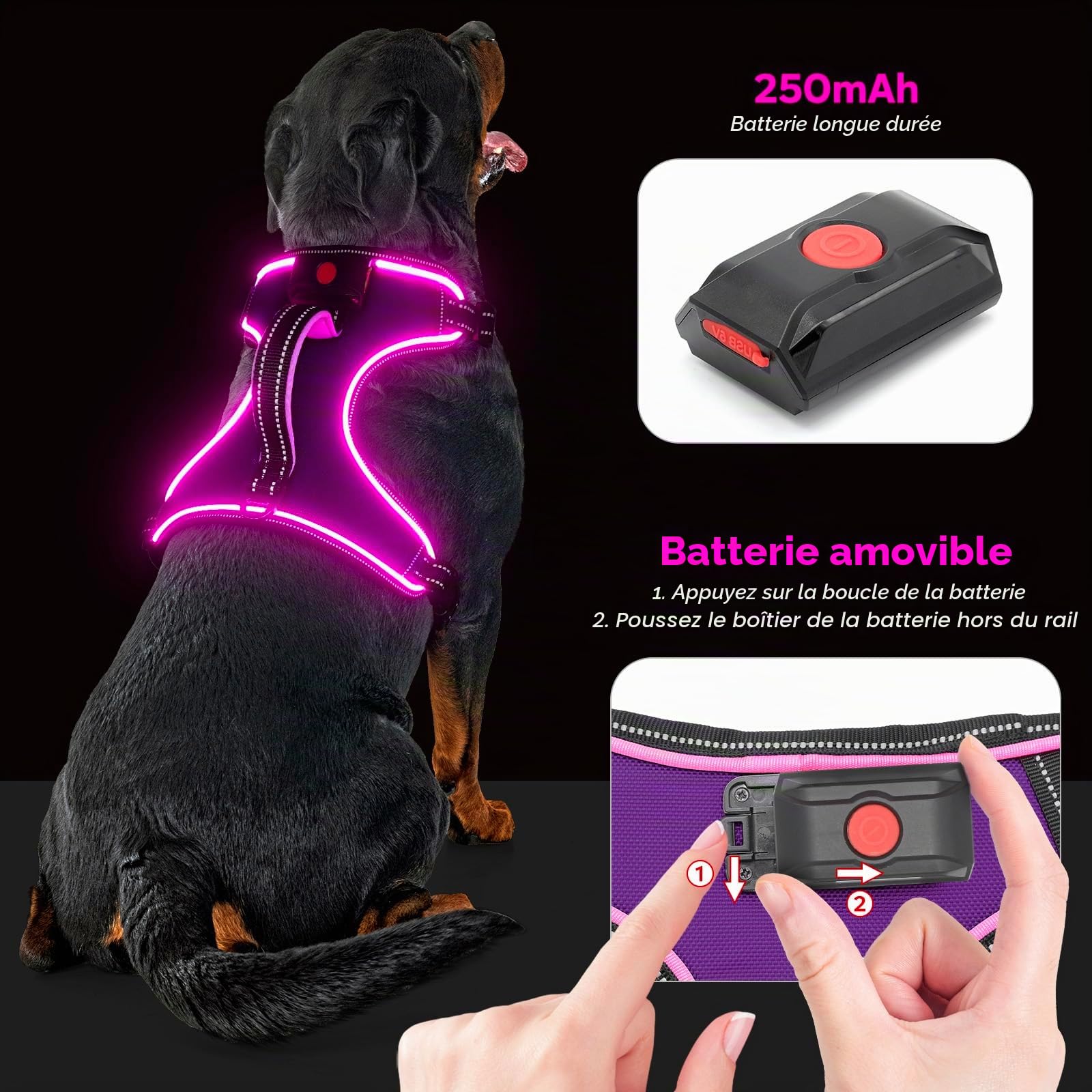 Harnais lumineux anti-traction pour chien avec poignée à DEL (taille L, violet)