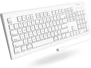 Macally USB C Keyboard | Mac Keyboard | Wired Keyboard (Plug and Play) Budget Compatible Apple Keyboard for MacBook Pro/Air, iMac, Mac Mini/Pro