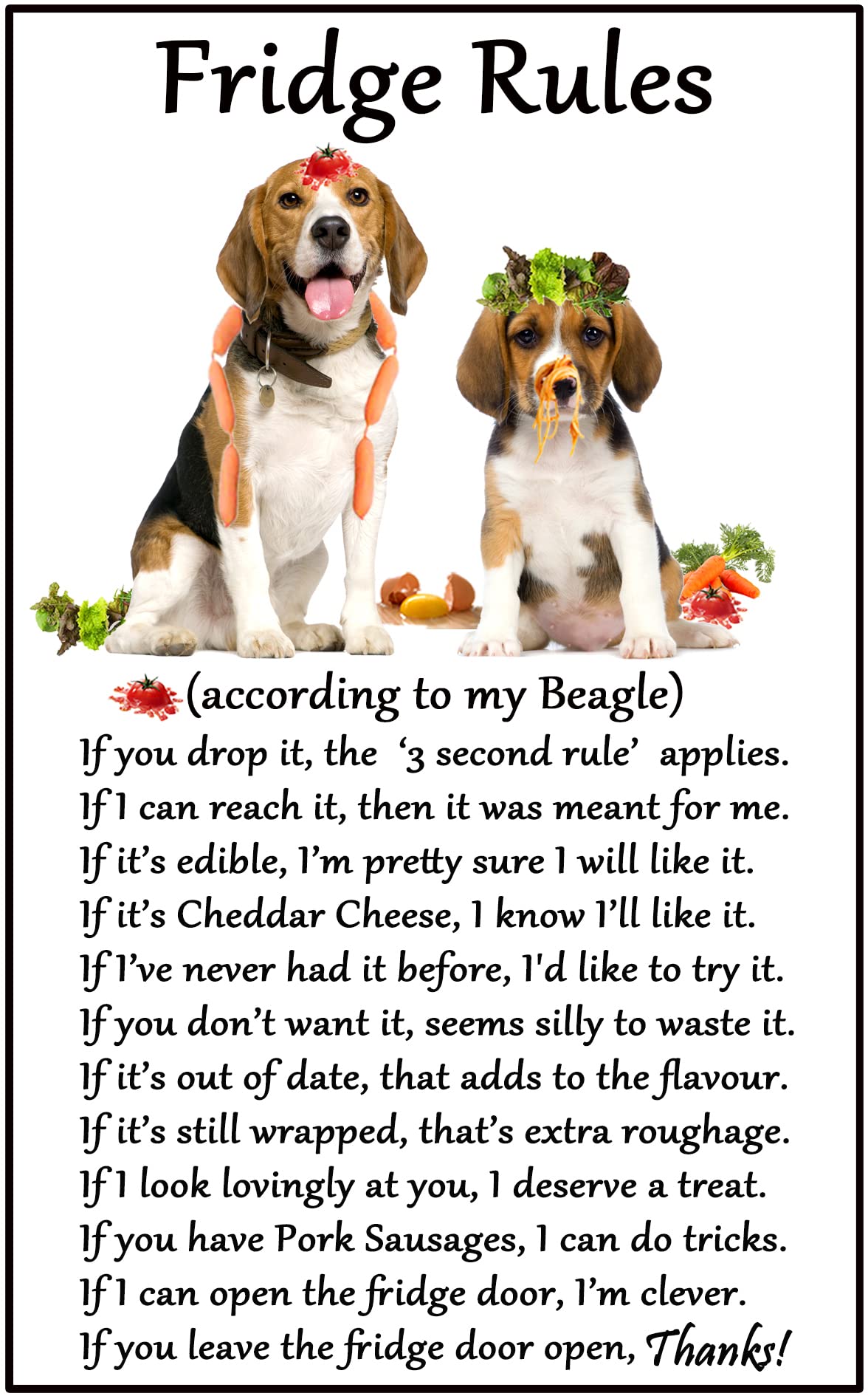 Fridge Magnets White Beagle Hound Gift - Fridge Rules - Large Fun Flexible Fridge Magnet- Size 16Cms X 10 Cms (Approx. 6" X4")
