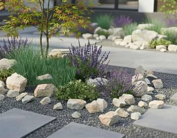 Amazon.co.jp: ロックガーデン 石 庭石 黄色 イエロー ロックガーデン Amazon.co.jp: ロックガーデン 石 庭石 黄色 イエロー ロックガーデン