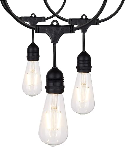 Satco Cadena de luces LED de 24 pies, 12 bombillas vintage ST19 incluidas 120 voltios