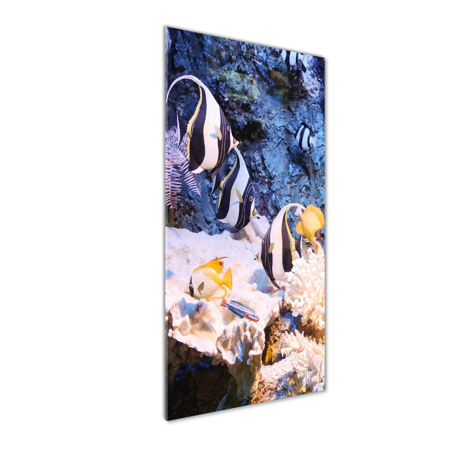 Peinture sur verre récif corallien Tulup pour évader votre esprit dans une salle de bain moderne