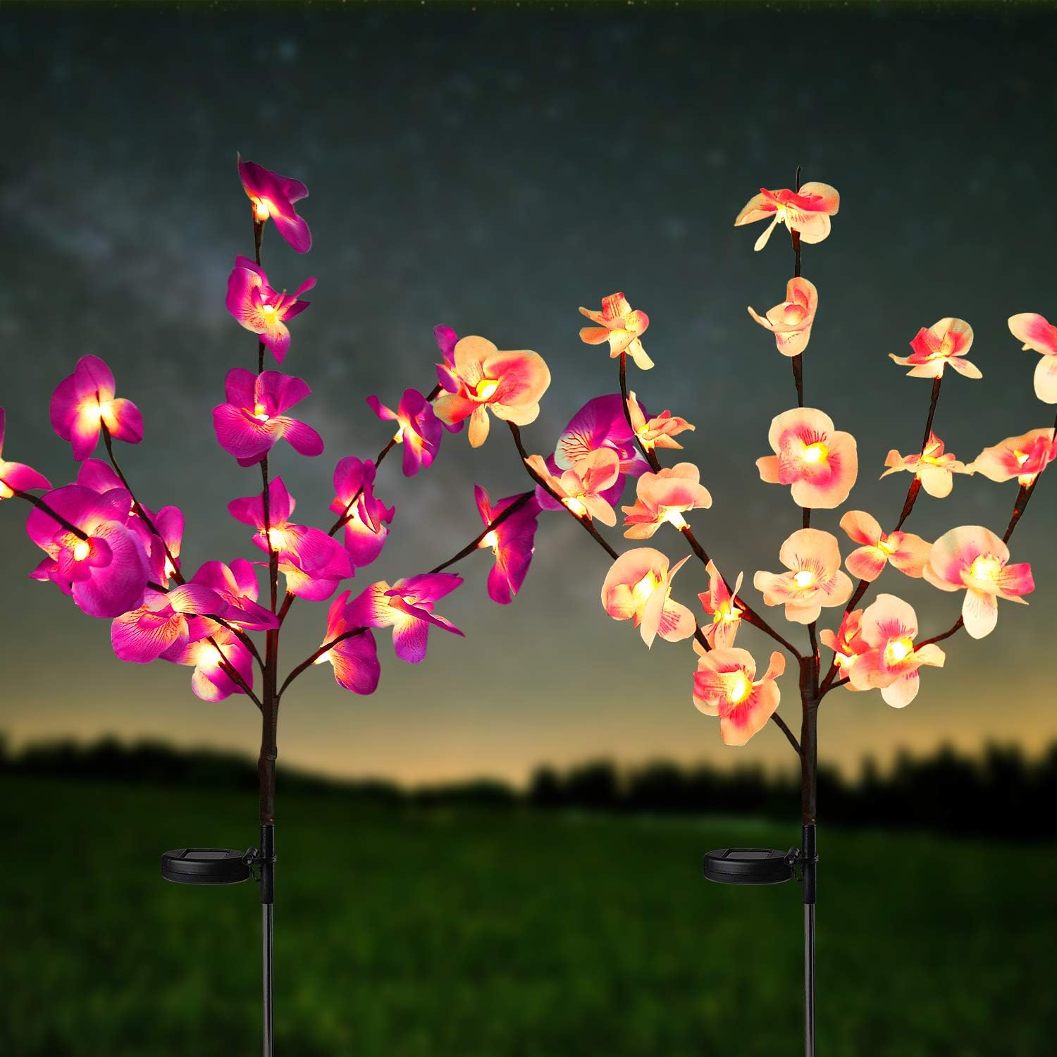 HeyMate Solar Lights Outdoor 2 Pack Purple & Pink Solar Garden Orchids Flower Lights Solar Christmas Decorative Lights Waterproof for Patio,Yard,Backyard,Pathway