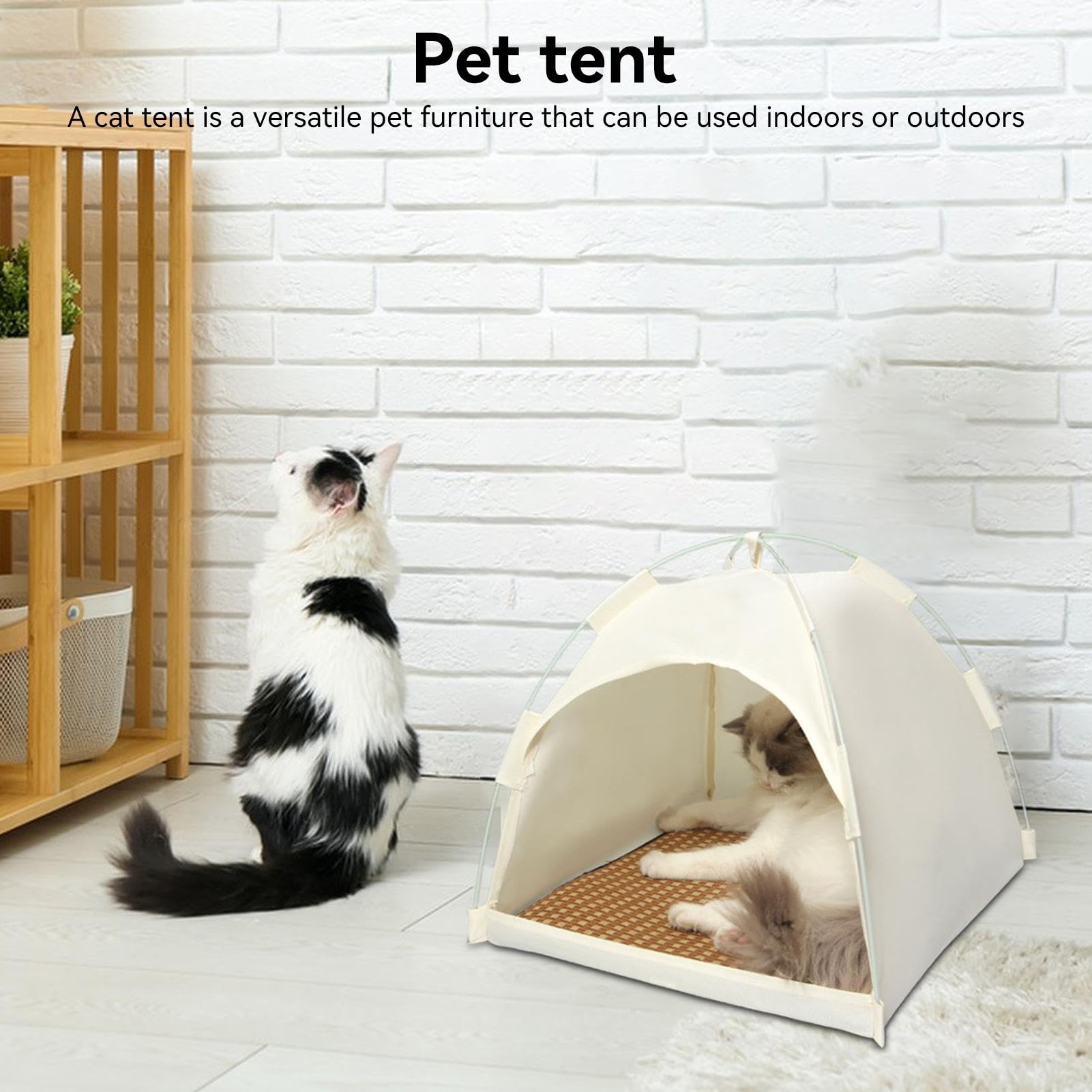 Bestsellers: De beste items in Speelplekken voor katten op