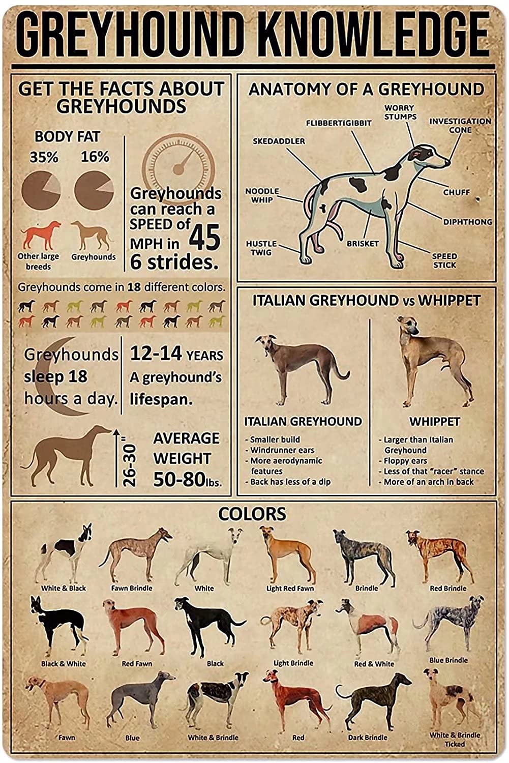 Greyhound Knowledge Vintage Poster Metal Tin Sign Iron Painting Plaque Wall Decor Bar Club Novelty Bathroom Cafe Store 8x12 Inch