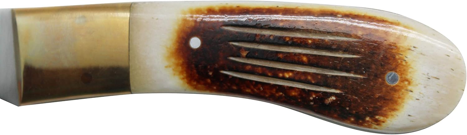 Wild Turkey Handmade Collection Full Tang Fixed Blade Gut Hook Skinner Knife w/Leather Sheath. (Burn Bone)