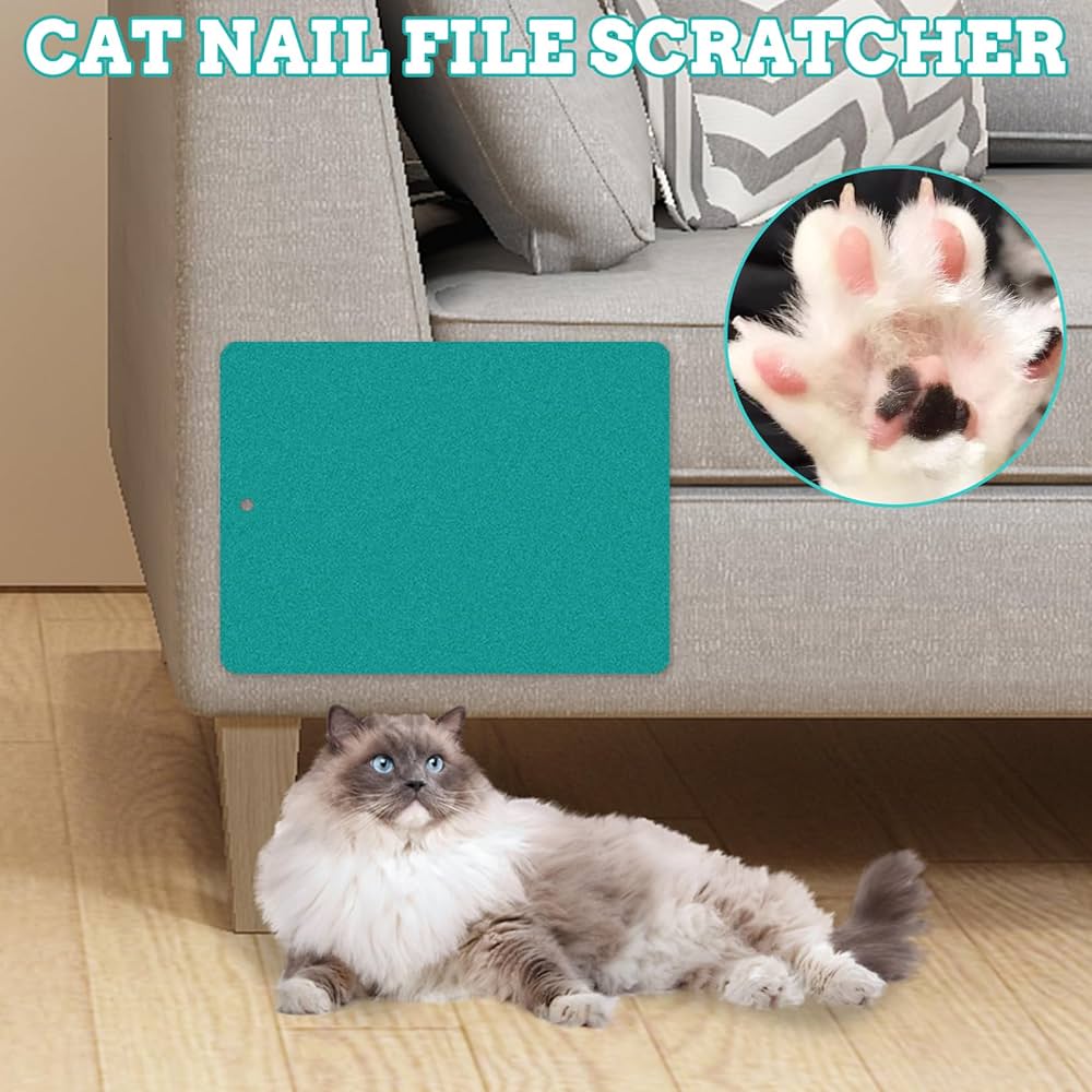 Top more than 170 cat scratch pad nail file latest songngunhatanh.edu.vn
