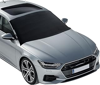 EcoNour Windshield Cover for Ice and Snow - Universal Fit for Car, SUV, Truck, Heavy Duty 600D Oxford Fabric Frost Protector for Ice & Sleet, Includes Anti-Theft Straps, Medium (69"x42")