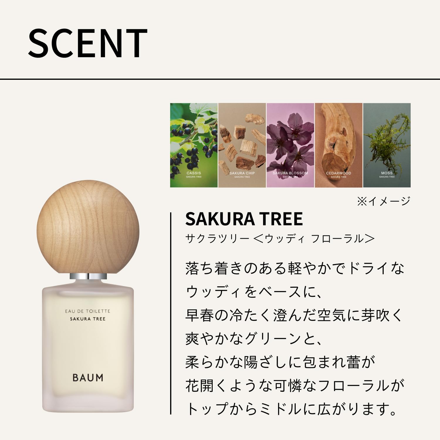 Amazon.co.jp: BAUM(バウム) バウム オードトワレ サクラツリー 60mL