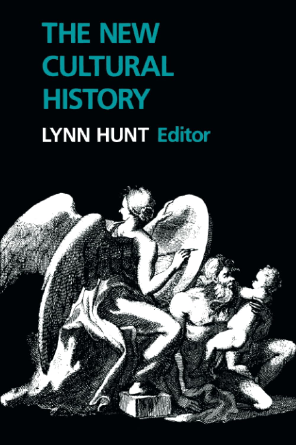 New Cultural History: Volume 6 (Studies on the History of Society and Culture)