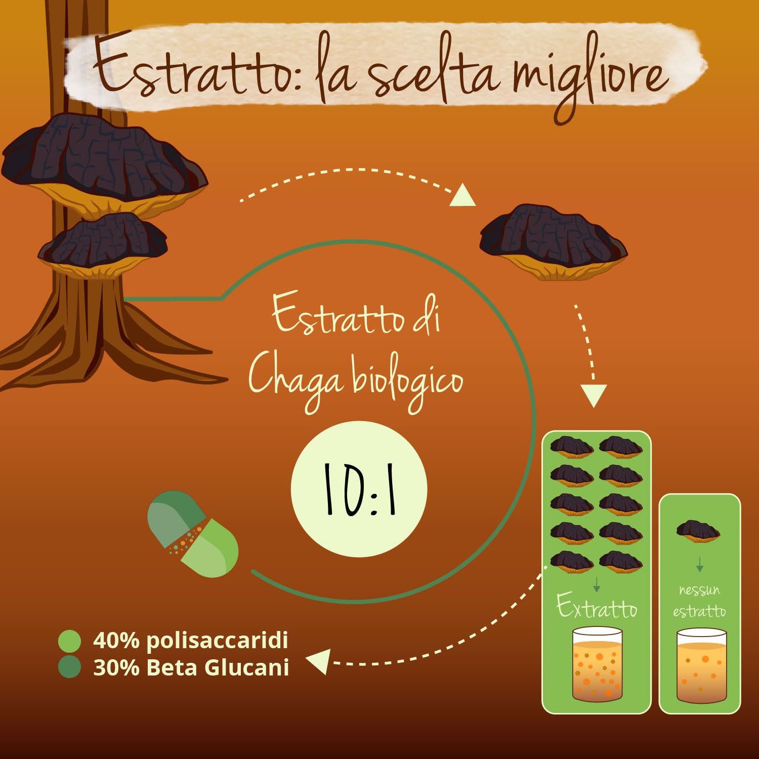 CHAGA BIO Vegavero® | 6000 mg (10:1) | Fungo Inonotus Obliquus | con 40% di Polisaccaridi e 30% di Beta Glucani | 120 capsule | Vegan