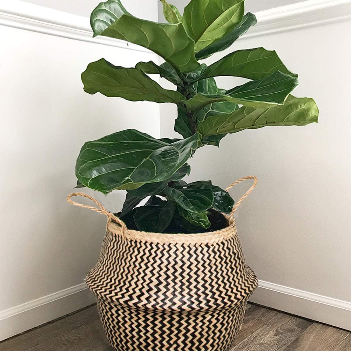 Seagrass Plant Basket Storage XXLarge (Diameter 16 inches